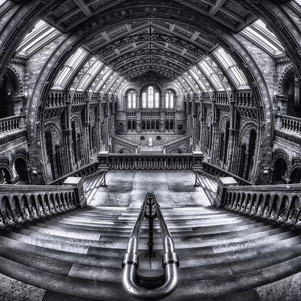 Domes: Harry Potter Meets Escher And Darwin by Massimo Cuomo