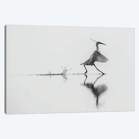 Dancing On The Water Canvas Print #OXM3124} by Mauro Rossi Art Print