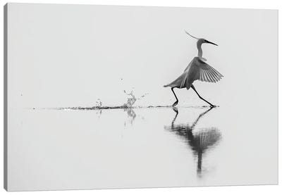 Dancing On The Water Canvas Art Print