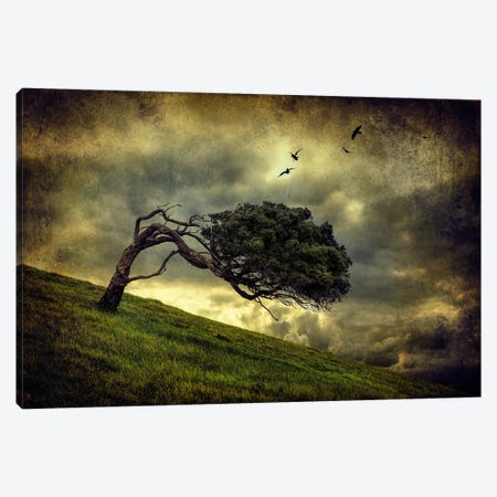 Winds Of Change Canvas Print #OXM312} by Peter Elgar Canvas Artwork