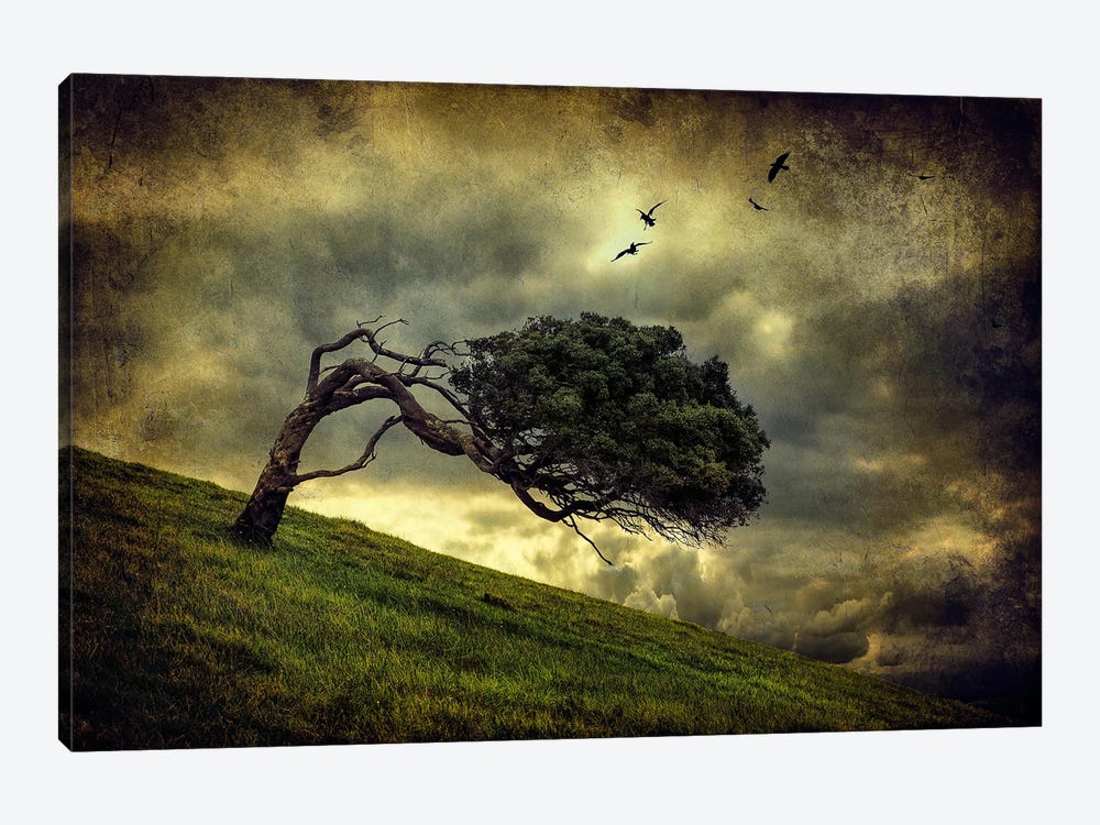 Winds Of Change by Peter Elgar 1-piece Canvas Artwork