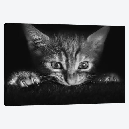 At The Movies Canvas Print #OXM3136} by Monte Pi (10Catsplus) Canvas Wall Art