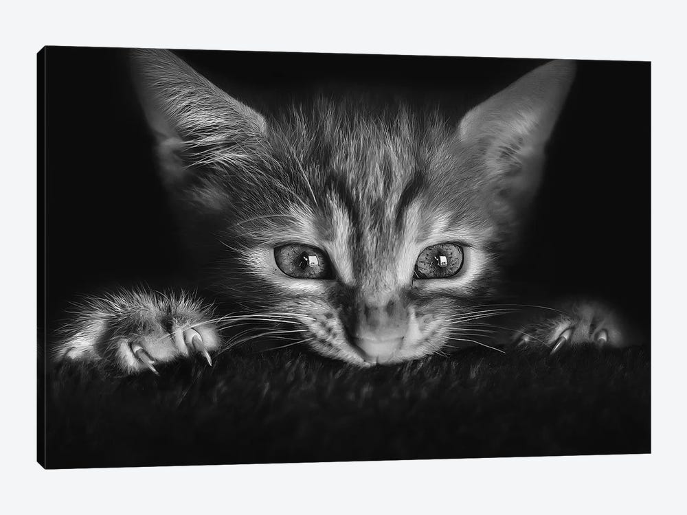 At The Movies by Monte Pi (10Catsplus) 1-piece Art Print
