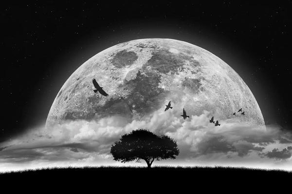 Scenic & Landscapes: A Dream by Nasser Osman