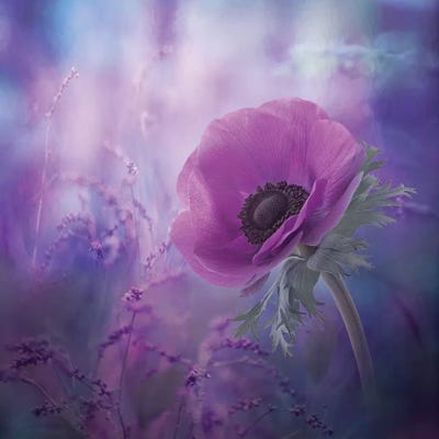 Natalia Simongulashvili