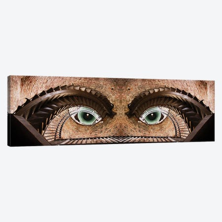 Watching You Canvas Print #OXM3151} by Paco Palazon Art Print