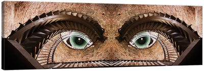 Watching You Canvas Art Print