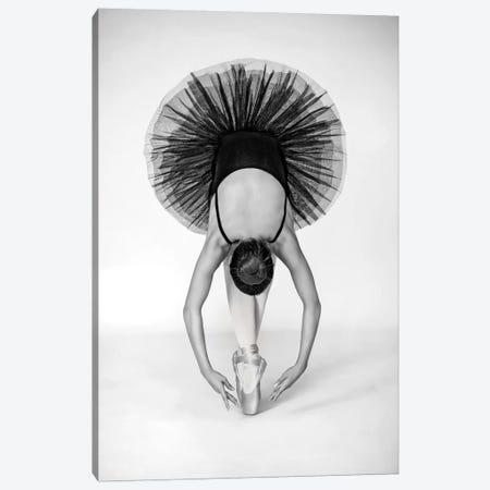 Ballet Technique Canvas Print #OXM3153} by Pauline Pentony Art Print