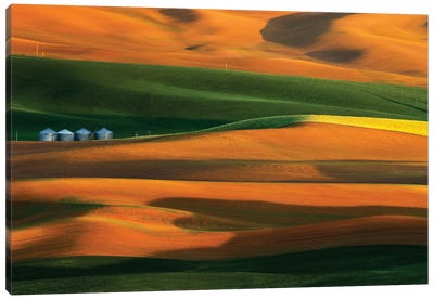 The Colorful Land Canvas Art Print