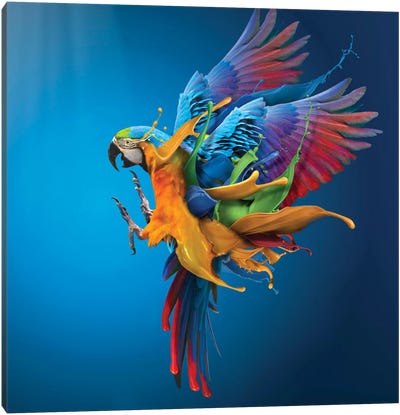 Flying Colours Canvas Art Print - Surrealism Art