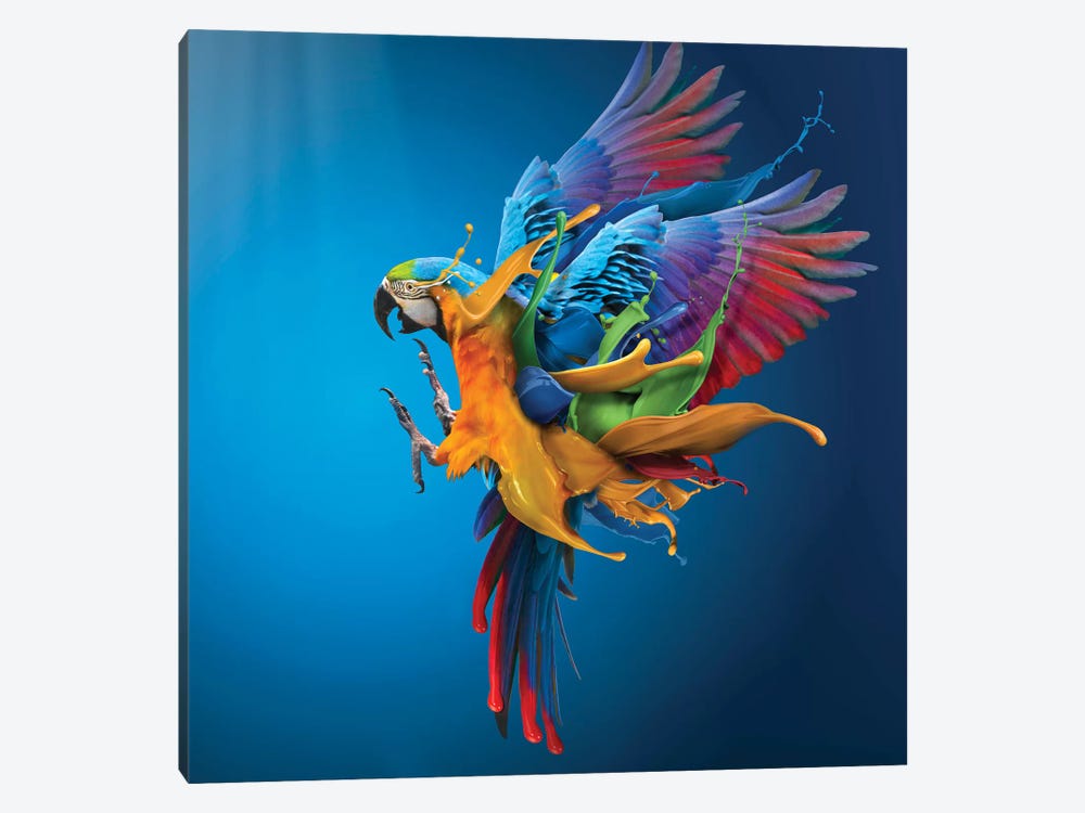 Flying Colours by Sulaiman Almawash 1-piece Canvas Art