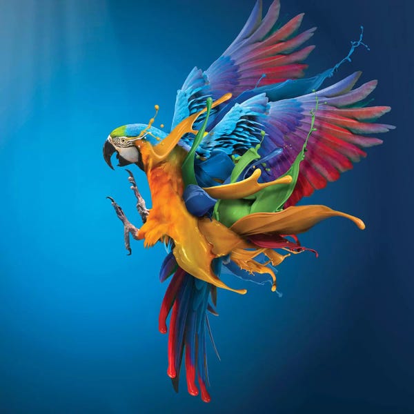 Life In Technicolor: Flying Colours by Sulaiman Almawash