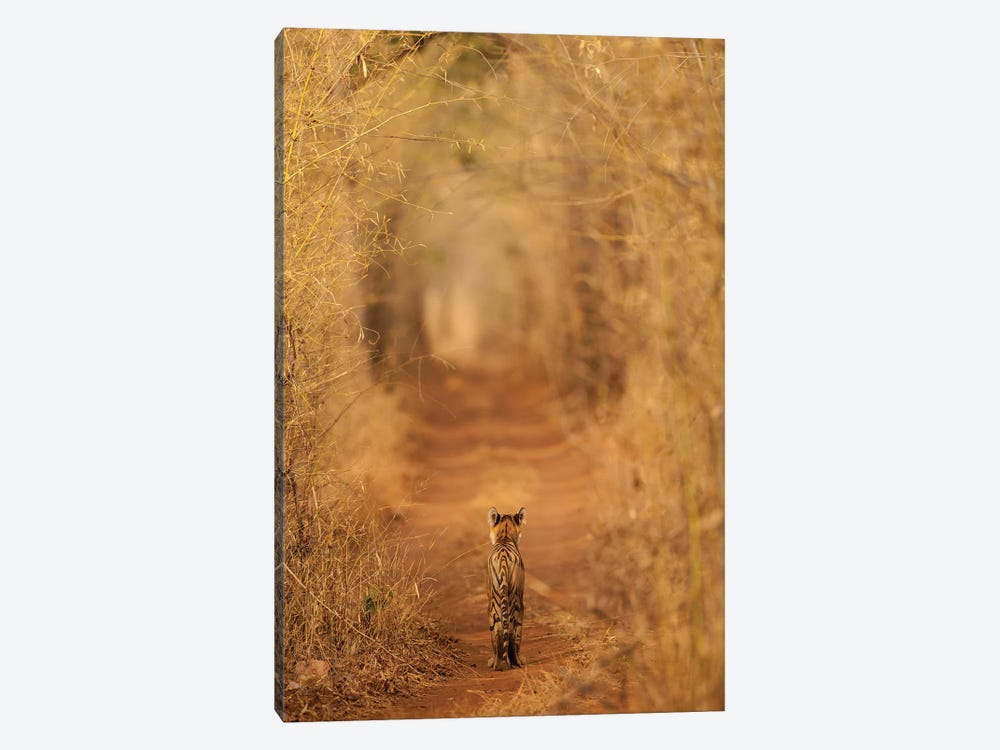 The Tiger In The Tunnel 1-piece Canvas Artwork