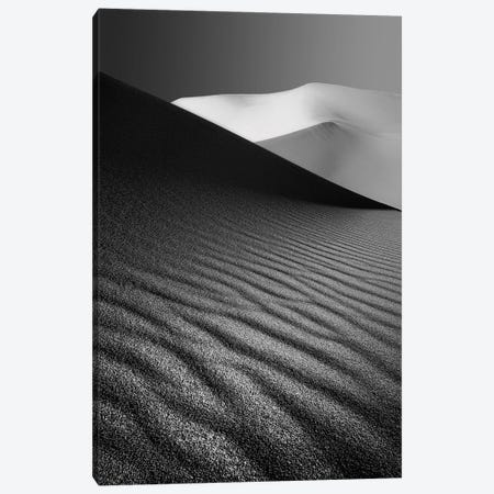 An Ice Hill In Desert Canvas Print #OXM3275} by Ali Barootkoob Canvas Art Print