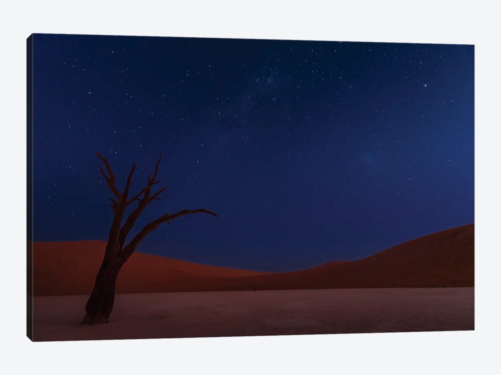 Stars And Dunes 1-piece Canvas Print