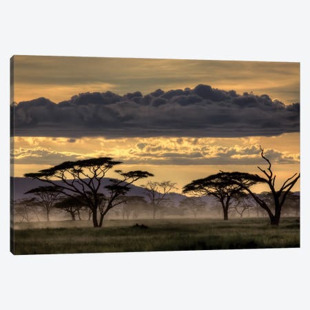 Good Evening Tanzania Canvas Print #OXM3283} by Amnon Eichelberg Canvas Print
