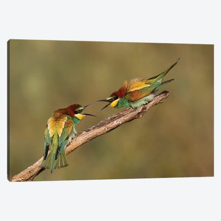 The Territory Canvas Print #OXM3286} by Amnon Eichelberg Canvas Wall Art