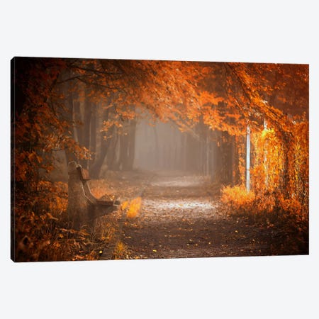 Waiting To Fall Canvas Print #OXM330} by Ildiko Neer Canvas Wall Art