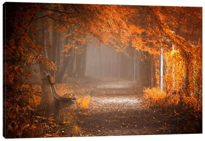 Waiting To Fall Canvas Art Print - Scenic Fall