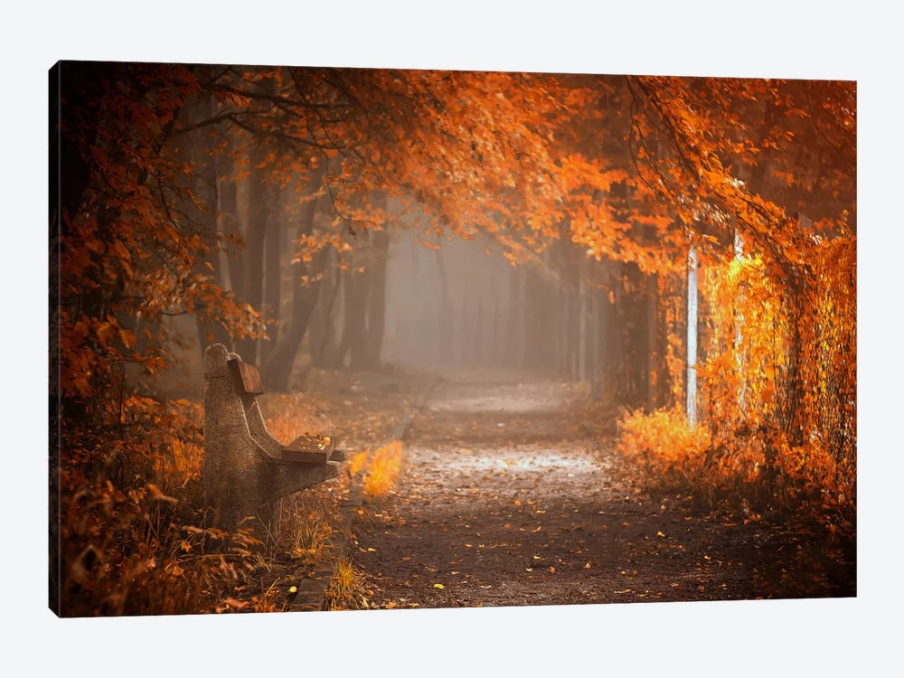 Waiting To Fall by Ildiko Neer 1-piece Canvas Artwork