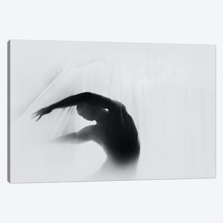 The Dance Of Silence Canvas Print #OXM3321} by Babak Haghi Canvas Artwork