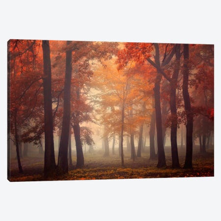 Painting Forest Canvas Artwork by Ildiko Neer | iCanvas