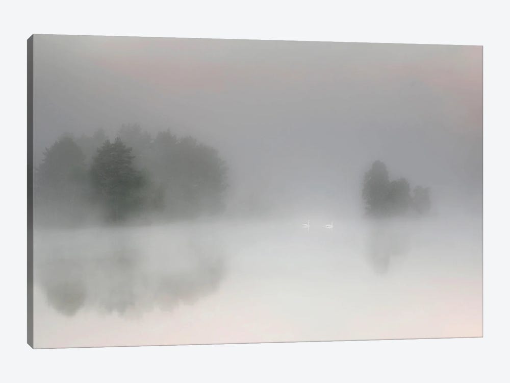 Misty Morning by Bjorn Emanuelson 1-piece Canvas Art Print