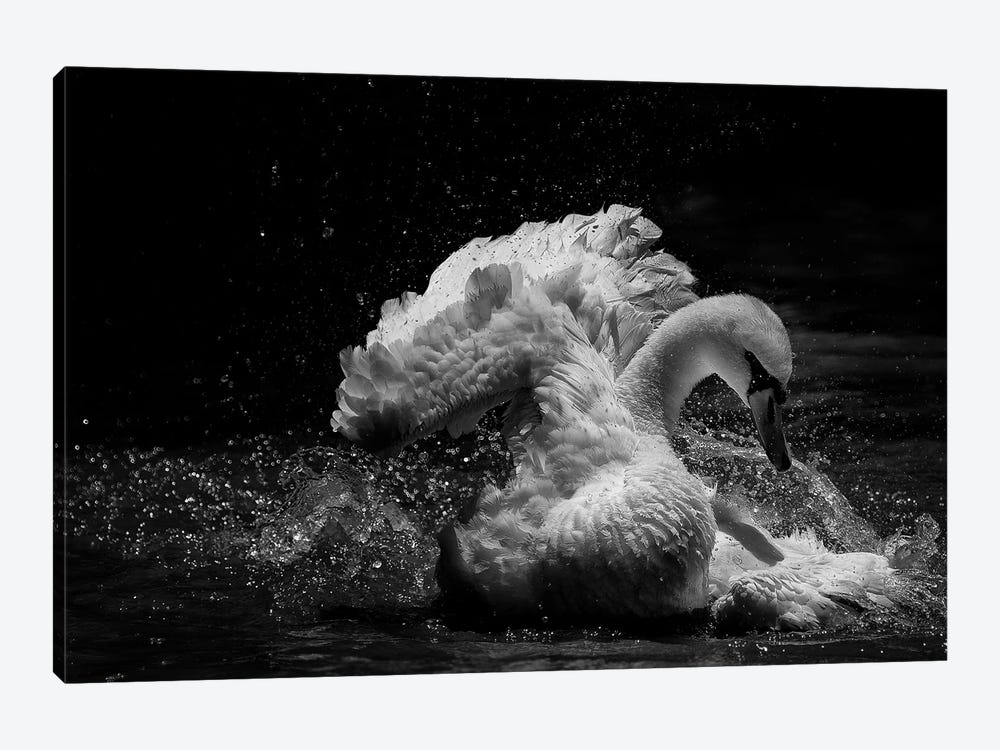 In Motion by C.S. Tjandra 1-piece Canvas Print