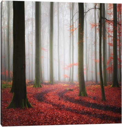 Autumnal Tracks Canvas Art Print