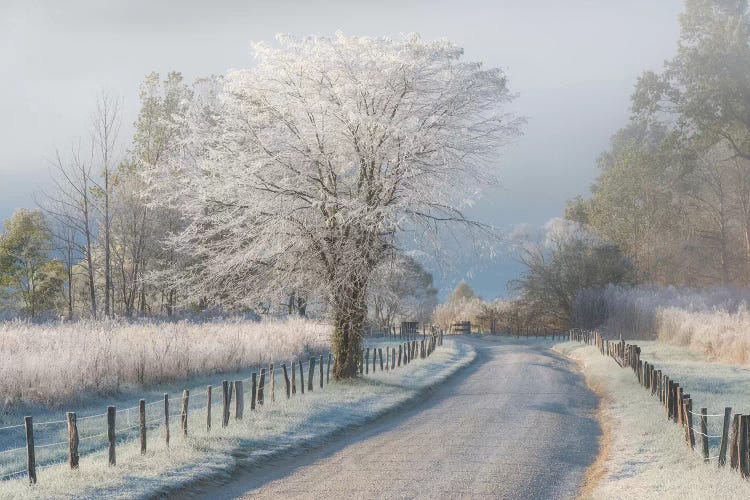 A Frosty Morning