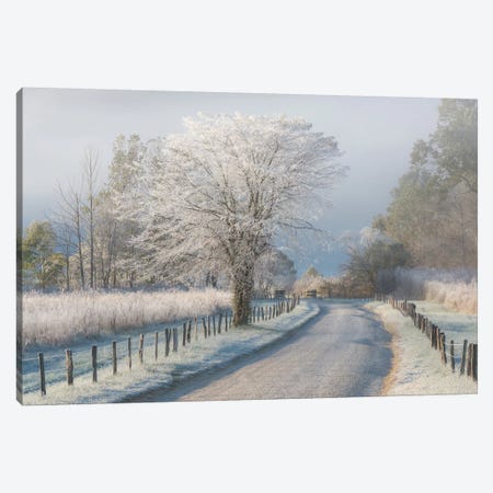 A Frosty Morning Canvas Print #OXM3385} by Chris Moore Canvas Print