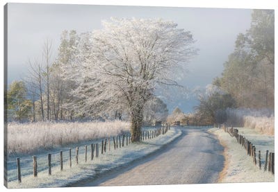 A Frosty Morning Canvas Art Print - Trail, Path & Road Art