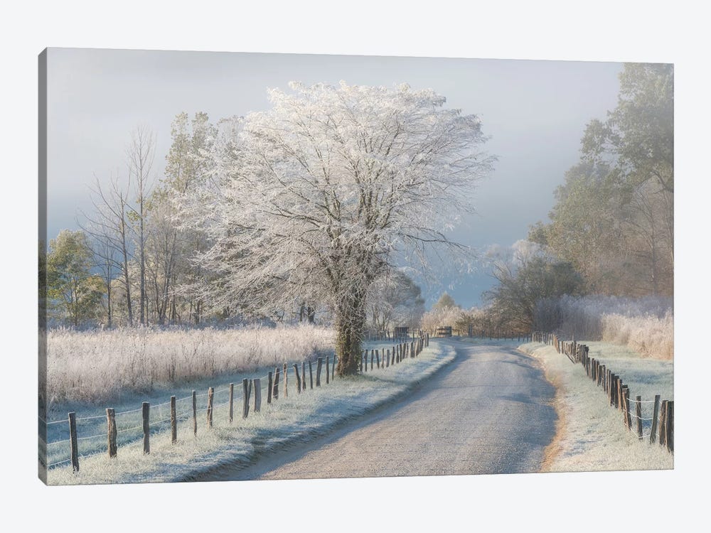 A Frosty Morning by Chris Moore 1-piece Canvas Artwork