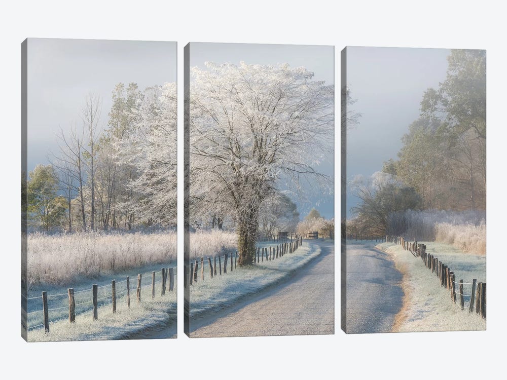 A Frosty Morning by Chris Moore 3-piece Canvas Wall Art