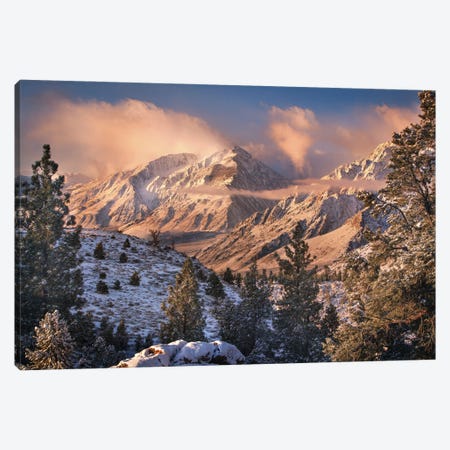 Mountain Light Canvas Print #OXM3386} by Chris Moore Canvas Print