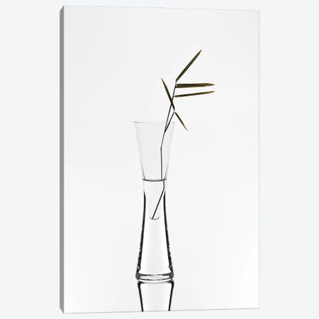 Bamboo Canvas Print #OXM3387} by Christian Pabst Art Print
