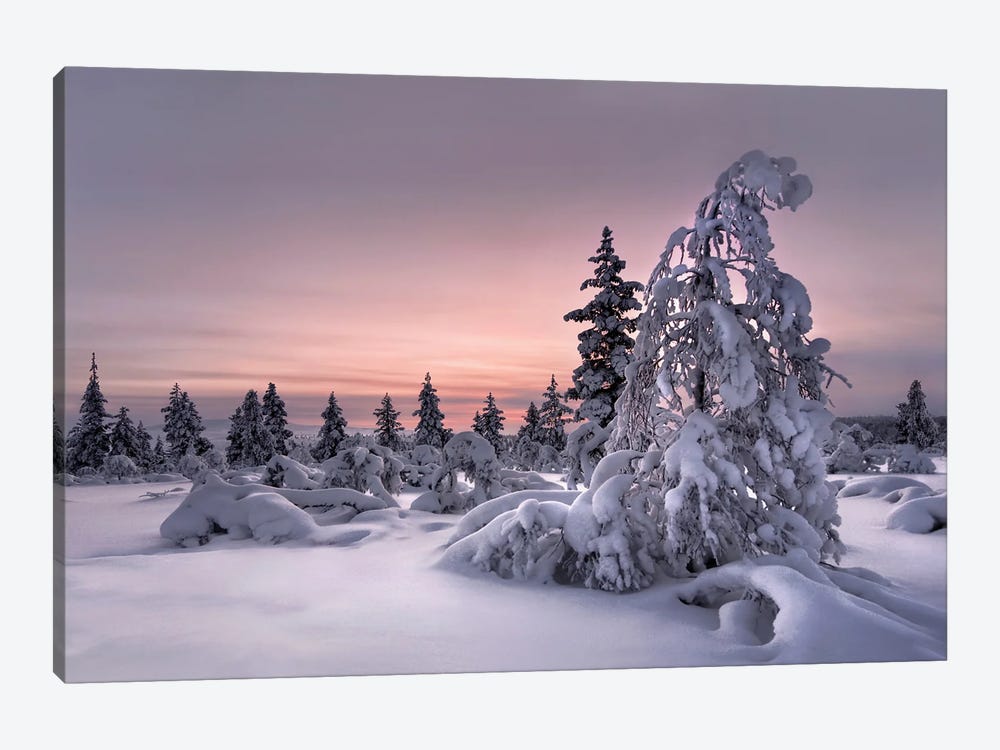 Lapland - Winter Wonderland 1-piece Canvas Artwork