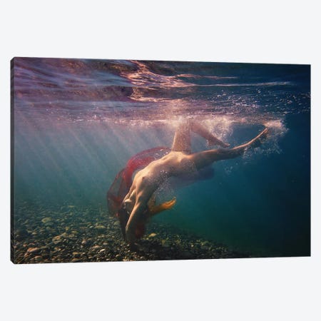 Dives In Beams Canvas Print #OXM3438} by Dmitry Laudin Canvas Wall Art