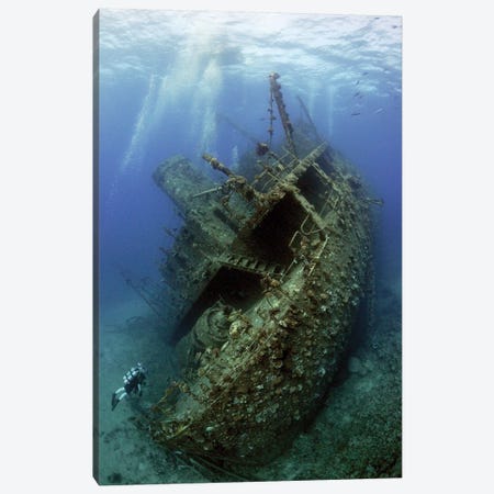 Giannis D. Wreck Canvas Print #OXM3450} by Dray Van Beeck Canvas Wall Art