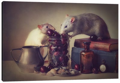 Snoozy And Jimmy Canvas Art Print