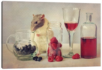 Snoozy Loves To Eat Canvas Art Print