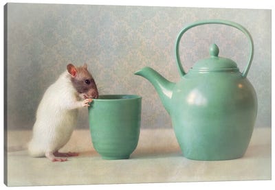 The Teapot Canvas Art Print - Rodent Art