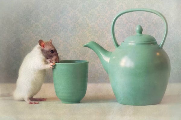 Rats: The Teapot by Ellen van Deelen