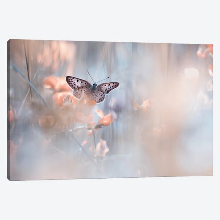 Dakinis Are Watching Over Us Canvas Print #OXM3479} by Fabien Bravin Canvas Art
