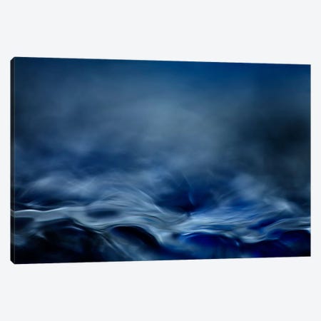 Blue Fantasy Canvas Print #OXM347} by Willy Marthinussen Canvas Wall Art
