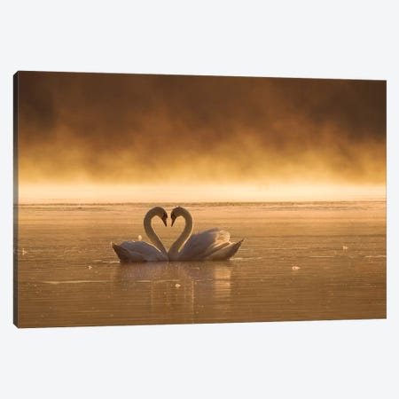 Lovers Canvas Print #OXM3493} by Fproject - Przemyslaw Canvas Artwork
