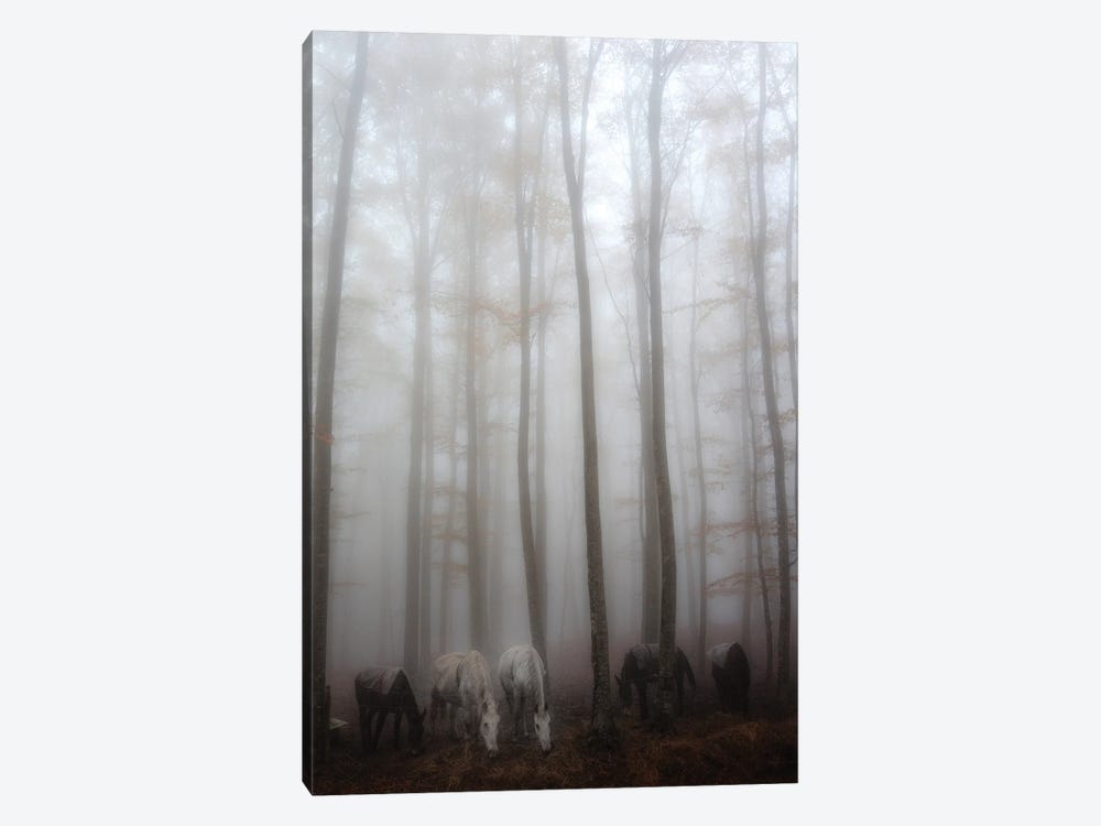 Fog 1-piece Canvas Print
