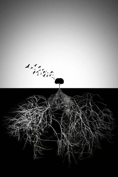 Black & White Minimalist Décor: Do Not Judge According To Appearance by Sourig Arslanian