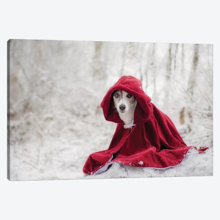 Little Red Riding Hood In Winter Canvas Print #OXM3546} by Heike Willers Canvas Print