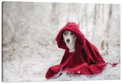 Little Red Riding Hood In Winter Canvas Art Print